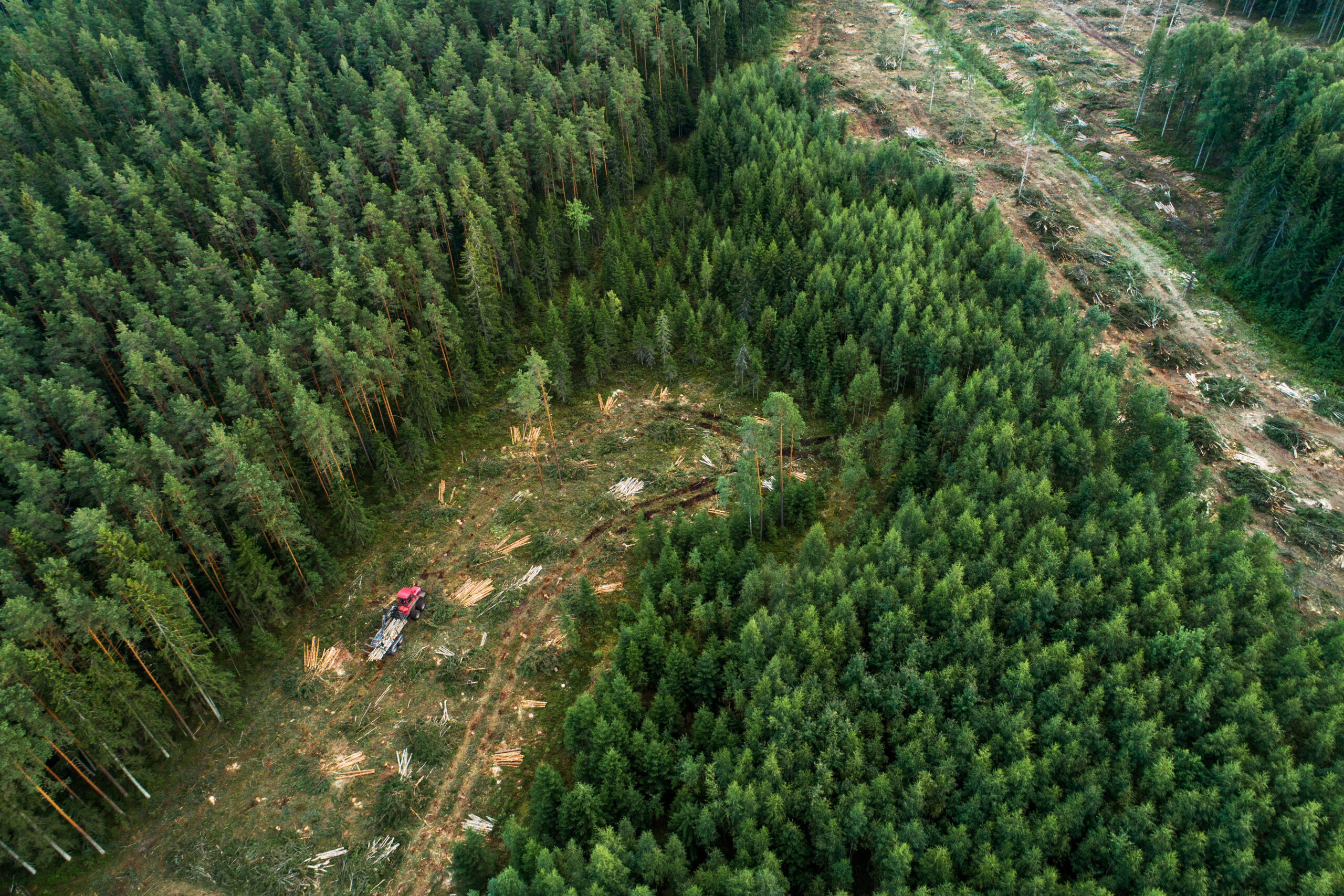 An aerial of a forwarder collecting freshly cut timber logs on a clear cut area in rural Estonia, Northern Europe.